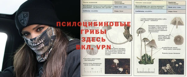 марки nbome Белокуриха