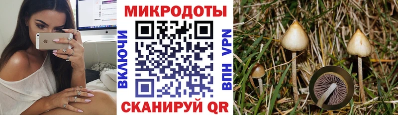 shop как зайти  Волчанск  Галлюциногенные грибы мицелий 